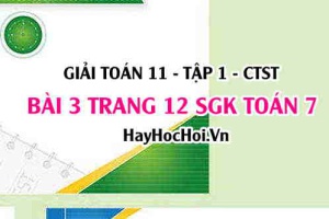 Giải bài 3 trang 12 Toán 11 tập 1 SGK Chân trời sáng tạo
